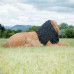 Wildcrete Lion bedded